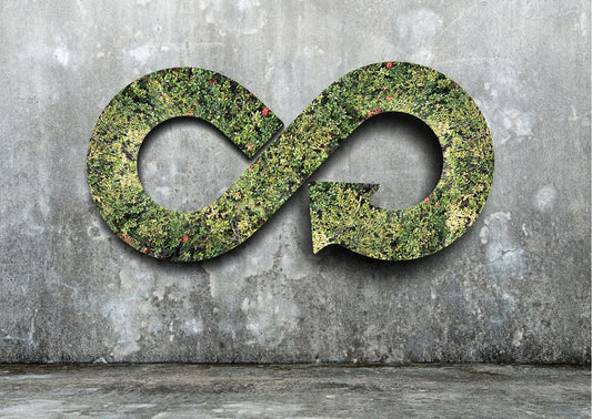 Andrea Marangione: economia circolare e start-up innovative